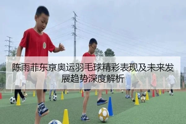 陈雨菲东京奥运羽毛球精彩表现及未来发展趋势深度解析 - LEYU SPORTS