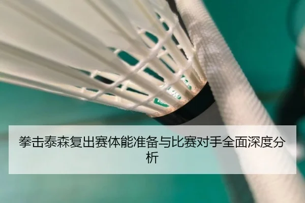 拳击泰森复出赛体能准备与比赛对手全面深度分析（LEYU SPORTS）